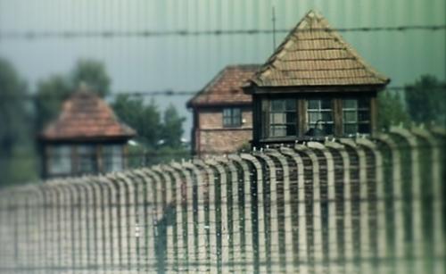 Segni di pace ad Auschwitz in un giorno di sole